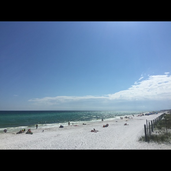 Meet your Posher, Priscilla - Picture 1 of 1